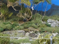 antwerp-train-ass-13