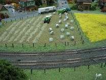 ebf-friesland-20