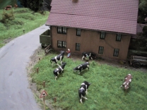 unbenannt-23